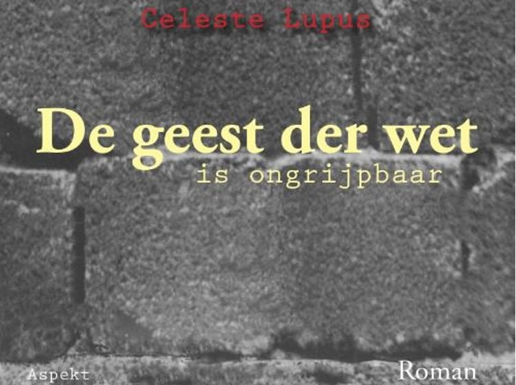 De geest der wet is ongrijpbaar